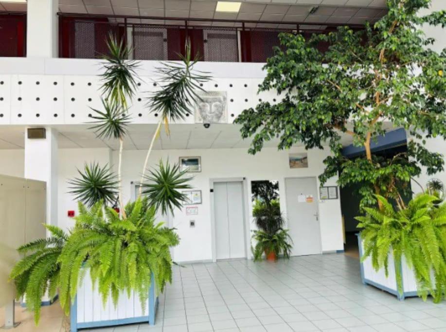 Studio-Calais Plage-Front De Mer Εξωτερικό φωτογραφία